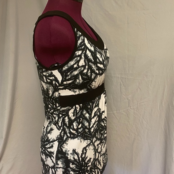 Libra dressy tank - Picture 4 of 5